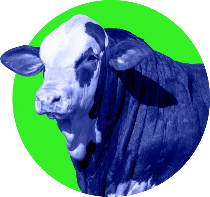 Bovino sobre círculo verde, imagen del Congreso Federal Ganadero